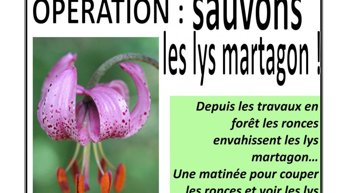Affiche randonnee lys martagon 18