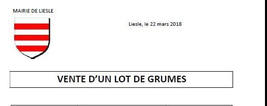 Copie de vente de lot de grumes