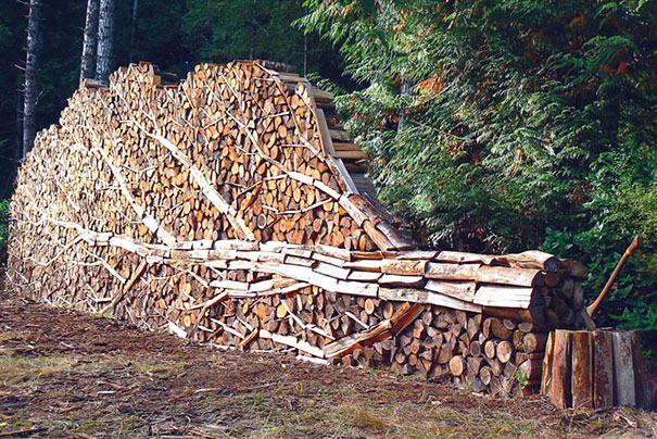 Meme un tas de bois peut etre artistique 02